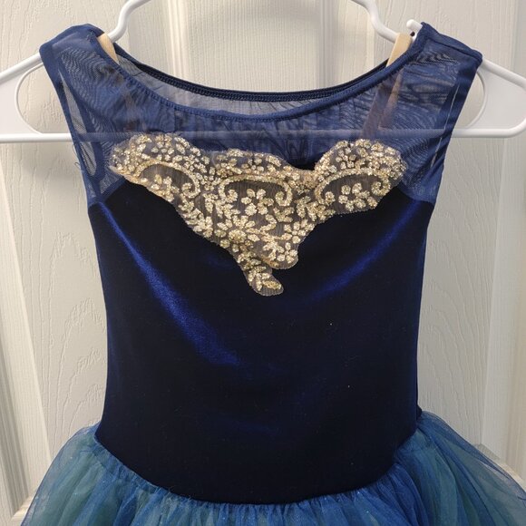 Weissman Dance Costume "Majesty" Velvet Bodice Gold Embellishments Layered Tulle - Picture 4 of 16